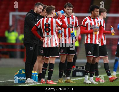 Sheffield, England, 20. Februar 2023. Michael Collins unterrichtet während des Spiels der Professional Development League in Bramall Lane, Sheffield. Das Bild sollte lauten: Simon Bellis/Sportimage Stockfoto