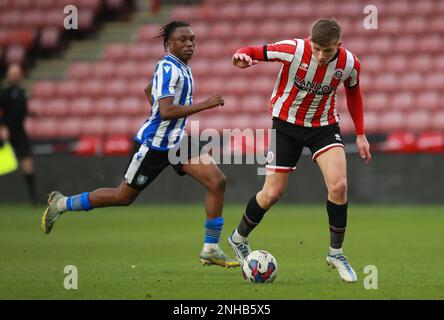 Sheffield, England, 20. Februar 2023. Sydie Peck von Sheffield Utd während des Spiels der Professional Development League in Bramall Lane, Sheffield. Das Bild sollte lauten: Simon Bellis/Sportimage Stockfoto