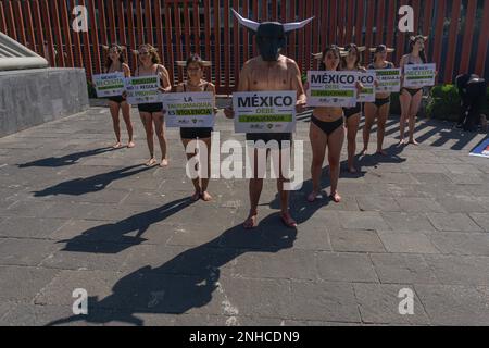 Mexiko-Stadt, Mexiko. 21. Februar 2023. 21. Februar 2023. Mexiko-Stadt, Mexiko: Mitglieder des Kollektivs der „Tierhelden“, die friedlich vor der Verfechterkammer in San Lázaro protestierten; Einige Mitglieder dieses Kollektivs bemalten ihre Körper mit roter Farbe, um Blut zu simulieren, und verwendeten Hörner und Masken, um die Bundesbeamten zu bitten, über den Gesetzesvorschlag zu diktieren, den sie der Umweltkommission über Stierkampf-Folter in Stierkämpfen gemacht haben./Eyepix Group Credit: SIPA USA/Alamy Live News Stockfoto