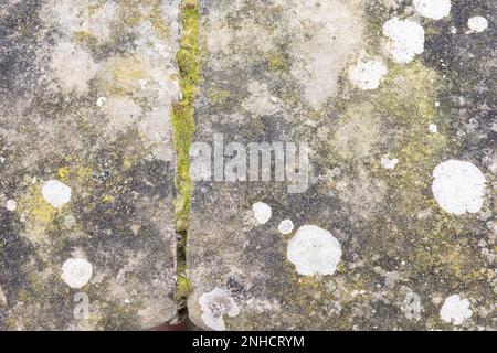 Grauweiße, wunderschöne Steine, Felsen mit Moos, Nahaufnahme, Natur, Textur Stockfoto