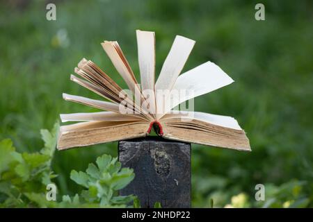 Das offene Buch liegt auf einem Holzhanf im Garten auf dem Gras Stockfoto