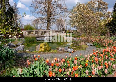 Frühling im District Teaching Garden Stockfoto