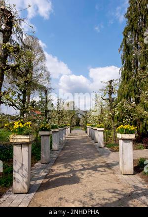 Frühling im District Teaching Garden Stockfoto