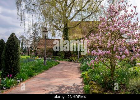 Frühling im District Teaching Garden Stockfoto