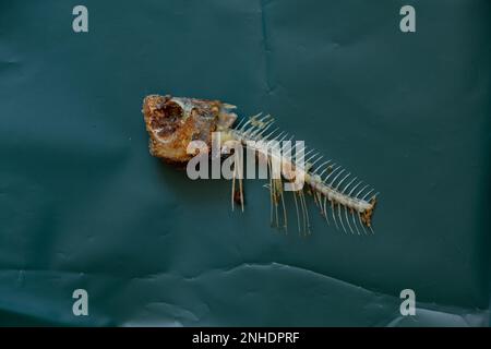 Gebratenes Fischskelett auf dunkelgrünem Papier Stockfoto