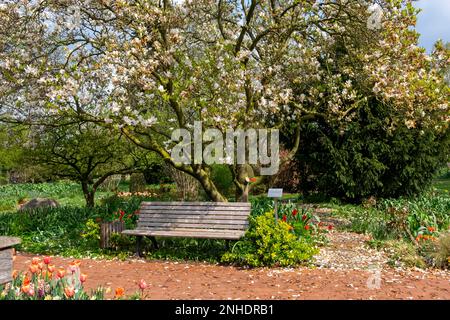 Frühling im District Teaching Garden Stockfoto