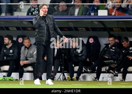 Frankfurt am Main, Deutschland. 21. Februar 2023. FRANKFURT - Eintracht Frankfurt Oliver Glasner während der UEFA Champions League-Runde 16 zwischen Eintracht Frankfurt und SSC Neapel im deutschen Bankparkstadion am 21. Februar 2023 in Frankfurt am Main. AP | niederländische Höhe | GERRIT VON KÖLN Kredit: ANP/Alamy Live News Stockfoto