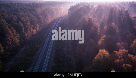 An diesem kühlen Herbstmorgen schlängelt sich die Eisenbahnlinie durch die Wälder. Die Sonnenstrahlen brechen durch die Baumkronen und erhellen die Rostbildung R. Stockfoto