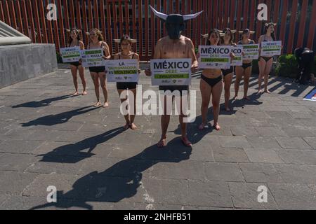 21. Februar 2023. Mexiko-Stadt, Mexiko: Aktivisten des Kollektivs der „Tierhelden“ nehmen an einer Demonstration gegen die Stierkampffolter vor der Abgeordnetenkammer in San Lazaro Teil. Am 21. Februar 2023 in Mexico City, Mexiko. (Foto: David Patricio / Eyepix Group) Stockfoto