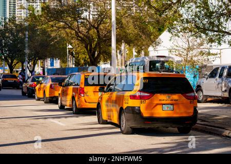 Miami, FL, USA - 19. Februar 2023: Foto einer Reihe gelber Taxis in Miami Stockfoto