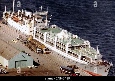 AJAXNETPHOTO. 1987. FREMANTLE, AUSTRALIEN. SCHAFE WERDEN AUF DAS VIEHTRANSPORTERSCHIFF MERINO EXPRESS GELADEN. FOTO: JONATHAN EASTLAND/AJAX REF:132708 197 Stockfoto