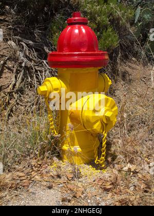 Rote und gelbe Feuerhydranten frisch lackiert Stockfoto