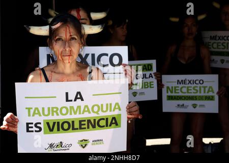 Mexiko-Stadt, Mexiko. 21. Februar 2023. Die Organisation Animal Heroes verklagt Gesetzgeber, Stierkämpfe in Mexiko zu verbieten, bei einem Protest vor der Abgeordnetenkammer in Mexiko-Stadt. Am 21. Februar 2023 in Mexico City, Mexiko (Kreditbild: © Autor/Eyepix via ZUMA Press Wire) NUR REDAKTIONELLE VERWENDUNG! Nicht für den kommerziellen GEBRAUCH! Stockfoto