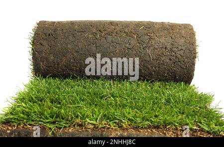 Gerollter Sack mit Gras auf weißem Hintergrund Stockfoto