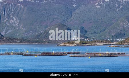 Blick auf eine Lachsfarm auf der Insel Vega, eine von etwa 6.500 Inseln und Skerries im Vega-Archipel, Norwegen. Stockfoto