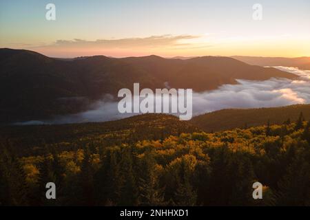 Luftaufnahme des nebligen Abends über dunklen Kiefernwäldern bei hellem Sonnenuntergang. Amazingl Landschaft von wilden Bergwäldern in der Dämmerung Stockfoto
