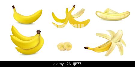 Realistisches Bananen-Set mit isolierten geschälten und ungeschälten Früchten mit Vektorgrafik der Scheiben Stock Vektor