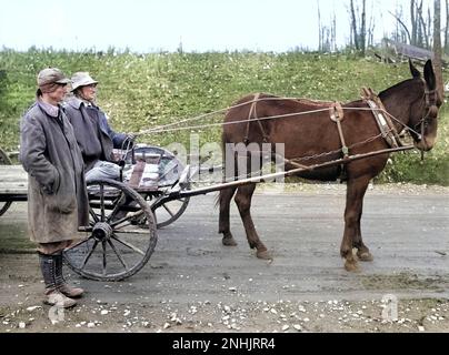 Zwei Bauern mit Mule-Drawn Wagon, Skyline Farms, Jackson County, Alabama, USA, Arthur Rothstein, USA Farm Security Administration, Februar 1937 Stockfoto