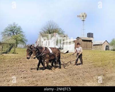 Farmer Plowing Field, Coffee County, Alabama, USA, Marion Post Wolcott, USA Farm Security Administration, April 1939 Stockfoto