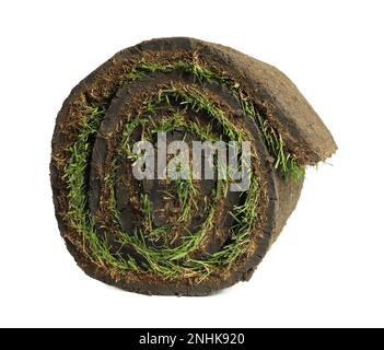 Gerollter Sack mit Gras auf weißem Hintergrund Stockfoto