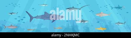 Flache Zusammensetzung der Haie mit Unterwasserlandschaft und Ansammlungen kleiner Fische mit Raubfischen Seetang-Vektordarstellung Stock Vektor