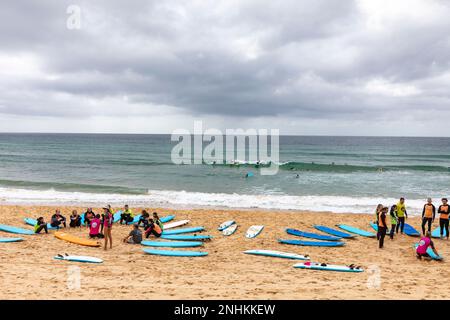 Surfunterricht für Anfänger in Manly Beach Sydney Australia bringt die Surfschule Manly Surf Menschen das Surfen bei Stockfoto