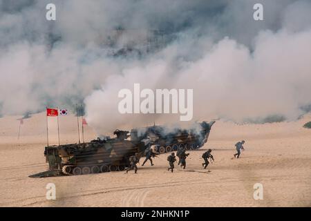 MARINEKORPS-BASIS HAWAII, Hawaii (30. Juli 2022) - Soldaten des Marine Corps der Republik Korea verlassen ihre Amphibien-Angriffsfahrzeuge und stürmen den Strand während eines Amphibienüberfalls (Rim of the Pacific, RIMPAC) 2022. Von Juni 29 bis August 4 nehmen an der RIMPAC 25.000 Nationen, 38 Schiffe, drei U-Boote, mehr als 170 Flugzeuge und Mitarbeiter auf und um die hawaiianischen Inseln und Südkalifornien Teil. RIMPAC ist die weltweit größte internationale Seefahrt-Übung und bietet eine einzigartige Ausbildungsmöglichkeit bei gleichzeitiger Förderung und Aufrechterhaltung kooperativer Beziehungen zwischen den Teilnehmern an Criti Stockfoto