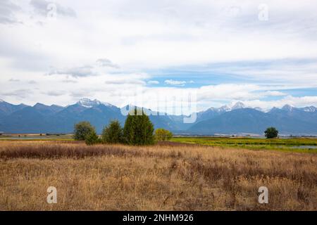 Malerische Ausblicke über Graslandschaften und in Richtung ferner schneebedeckter Berge des Bison Range Reserve im Flathead Indian Reservation in Montana Stockfoto