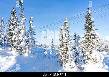 Ein Sessel eines leeren Sessellift in einem Skigebiet an sonnigen Tagen. Winterferien, schneebedeckte Nadelbäume Stockfoto