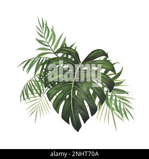 Uber die Zusammensetzung der Tropenblätter von Monstera und der Palmenfarbe, isoliert auf weißem Hintergrund. Aquarell handgezeichnete botanische Darstellung für Design-Paket Stockfoto