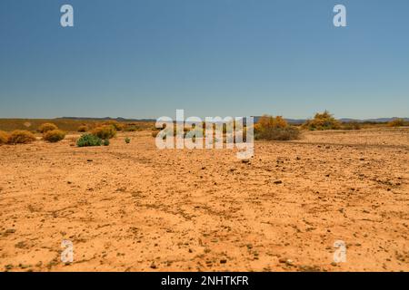 Ein trockenes Gebiet neben einer Schotterstraße in der Karoo in Richtung Sutherland, Südafrika Stockfoto