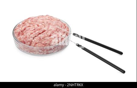 Petrischale mit rohem Hackfleisch und Präpariernadeln auf weißem Hintergrund Stockfoto