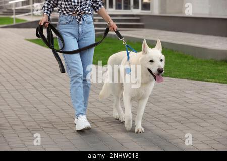 Junge Frau mit ihrem weißen Schweizer Schäferhund, der auf der Straße spaziert, Nahaufnahme Stockfoto