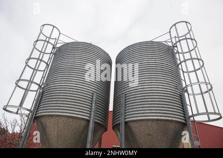 Tierfuttersilos. Zinkbeschichtete Lagerung für die Tierhaltung Stockfoto