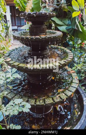 Kleiner Steinbrunnen im tropischen Garten. Brunnen in Vase im asiatischen Hinterhof. Zen- und Friedenskonzept. Steinstatue mit Wasser und grünen Bäumen und Blättern Stockfoto