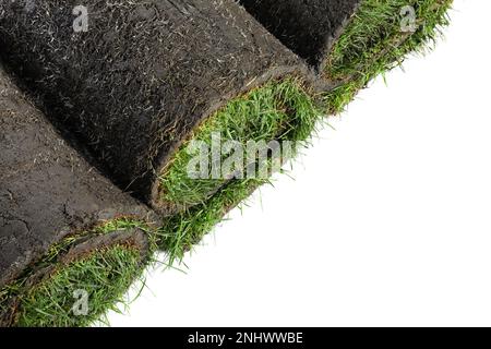 Rollen Gras auf weißem Hintergrund Stockfoto