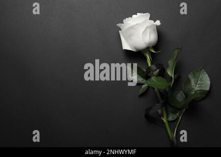 Wunderschöne weiße Rose mit schwarzem Band auf dunklem Hintergrund, Draufsicht. Platz für Text Stockfoto