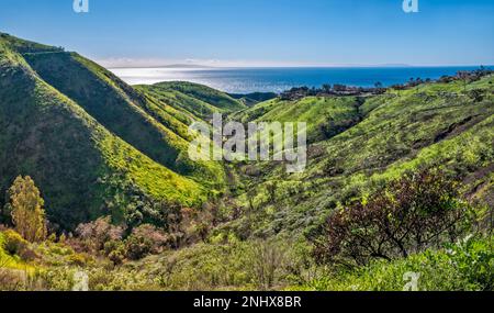 Latigo Canyon, Pazifik, März 2019, nachdem der Woolsey Fire vom November 2018 diese Gegend beschädigt hat, Santa Monica Mountains, Malibu, Kalifornien, USA Stockfoto