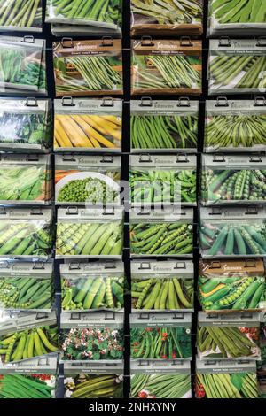 Schöne Reihen bunter Johnsons grüner Erbsen und Bohnen Gemüsesamen hängen auf dem Ausstellungsstand im UK Garden Center. Stockfoto