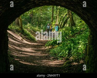 Wanderer auf Waldwegen nähern sich dem Tunnel mit einem Bogen in Ticknall Limeyards, Derbyshire, England, Großbritannien Stockfoto