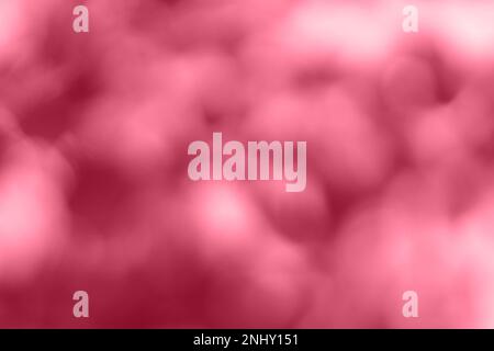 Verschwommener Hintergrund mit Viva Magenta Color. Unscharfe Videoaufnahmen. Die herbstliche Natur hinterlässt einen unscharfen Hintergrund. Die Sonne scheint durch und bläst auf Wind Stockfoto