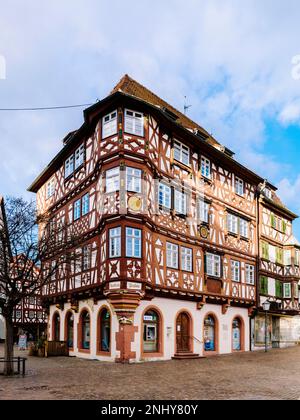 Historisches Zentrum von Mosbach mit Palmenhaus (Region Odenwald/Deutschland) Stockfoto