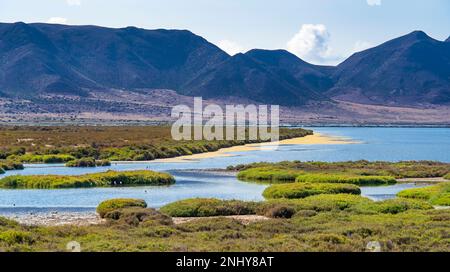 Ornithologischer Aussichtspunkt Las Salinas, Salinas de Cabo de Gata, Feuchtgebiet Ramsar, Naturpark Cabo de Gata-Níjar, UNESCO-Biosphärenreservat, Hot des Stockfoto