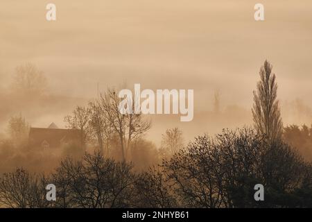 Der Nebel von Avalon, der durch die Landschaft von Glastonbury Tor, Glastonbury, Somerset rollt. Stockfoto