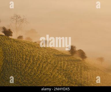 Der Nebel von Avalon, der durch die Landschaft von Glastonbury Tor, Glastonbury, Somerset rollt. Stockfoto