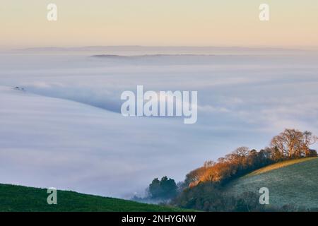 Der Nebel von Avalon, der durch die Landschaft von Glastonbury Tor, Glastonbury, Somerset rollt. Stockfoto