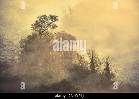 Der Nebel von Avalon, der durch die Landschaft von Glastonbury Tor, Glastonbury, Somerset rollt. Stockfoto