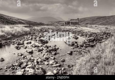 Diese zerstörte Schießhütte in Newby Gap bei Ribblehead hat sich weiter verschlechtert, seit dieser Schuss gemacht wurde, Passanten verwundert, dass sie noch steht. Stockfoto