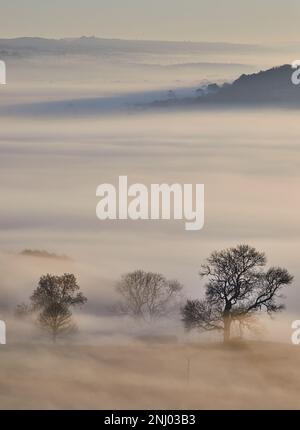 Der Nebel von Avalon, der durch die Landschaft von Glastonbury Tor, Glastonbury, Somerset rollt. Stockfoto