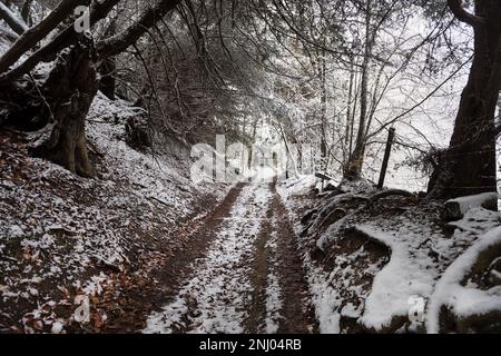 Abseits der ausgetretenen Pfade, vierrädrige Fahrzeuggleise auf einem Zügelpfad in tiefem Schnee in abgelegenen Wäldern Stockfoto